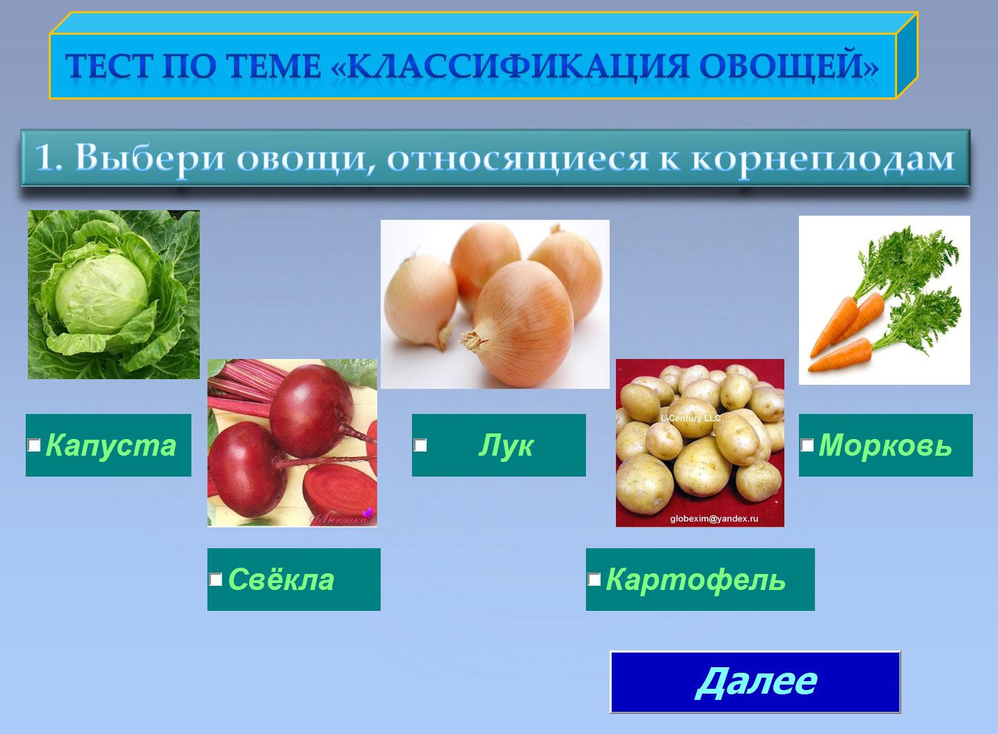 К корнеплодам относят ответ. Классификация овощей. Классификация овощей по группам. Классификация овощей по группам 10 групп. Что относится к корнеплодам из овощей.